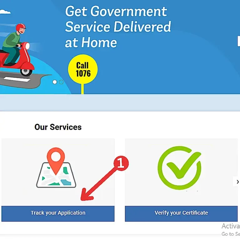 Track Your Application